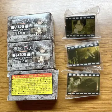 진격의 거인 리바이 핀즈