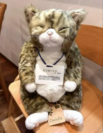 봉제 인형 고양이 카도리 핑 카톤 택 포함 레어템