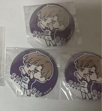 하이큐 하이큐!! 와챠토 캔뱃지 백조자와 시라후 오히라