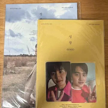도기용 성장 (BLOSSOM)