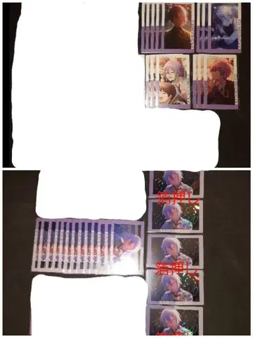 프로세카 에피카 카미시로 루이 16B