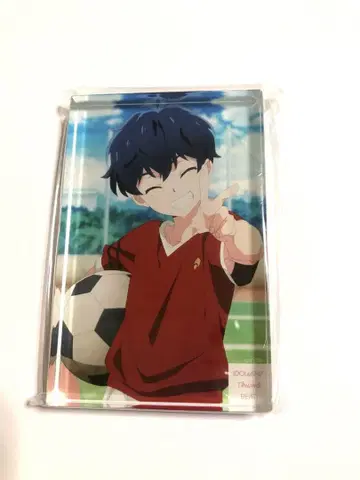 아이나나 모모 아크릴 블록 하루하라 모모세 Re:vale
