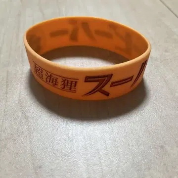 슈퍼 비버 러버 밴드
