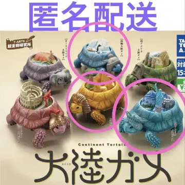 대륙거북 아프리카대륙거북 북아메리카대륙거북 남극대륙거북 익명 배송 새상품