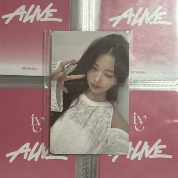 IVE 원영 DIVE JAPAN 장기 회원 계속 혜택 FC 트레이딩 카드