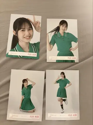 사쿠라자카46 무카이 이토하 브로마이드 피케 셔츠 코디 4종 컴프