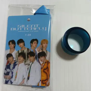 FANTASTICS 업그레 은색 테이프 스트랩 포함 라미네이트 패스