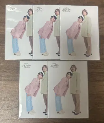 미세스 오오모리 모토키 후지사와 료카 FJORD 포토 카드 031