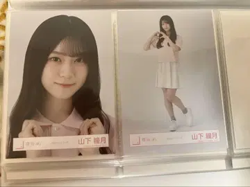 사쿠라자카46 야마시타 시즈키 사진 피케 셔츠 코디 요리 히키