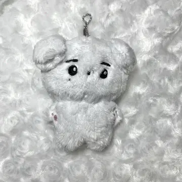 enhypen 성훈 마스터 봉제 인형