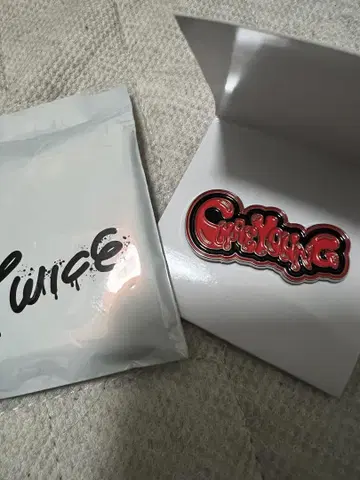 TWICE CHAEYOUNG 채영 핀 배지 랜덤