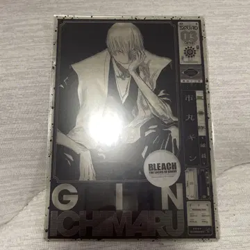 BLEACH 랜드마크 타워 입장 특전 이치마루 긴