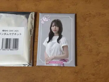 사쿠라자카46 사쿠라자카 카페2025 랜덤 캔 마그넷 모리타 히카루