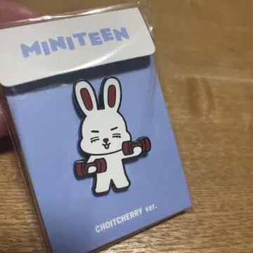 SEVENTEEN 세부치 미니 틴 승철 에스크