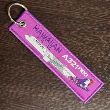하와이안 항공 HAWAIIAN AIRLINES A321neo 플라이트 택