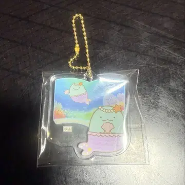 스미코구라시 도마뱀 키링