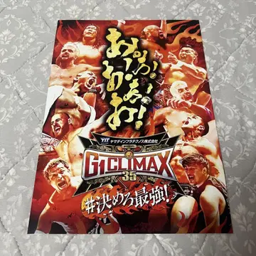 신일본 프로레슬링 G1 CLIMAX 35 A4 포트레이트 B블록 2