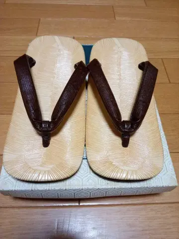 도마뱀 하나오 셋타