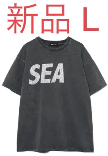 WIND AND SEA (CRACK-P-DYE) S/S Tee L CH