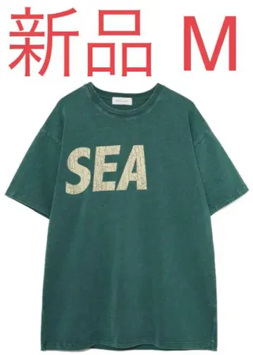 WIND AND SEA (CRACK-P-DYE) S/S Tee GR M