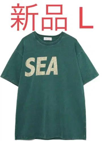 WIND AND SEA (CRACK-P-DYE) S/S Tee GR L