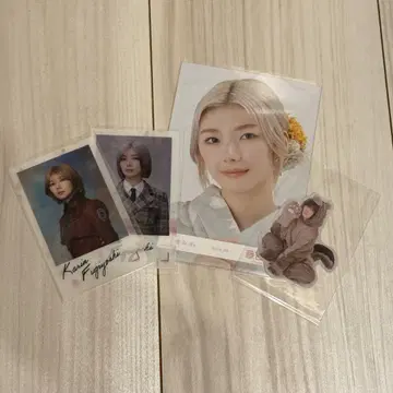 사쿠라자카46 후지요시 카린