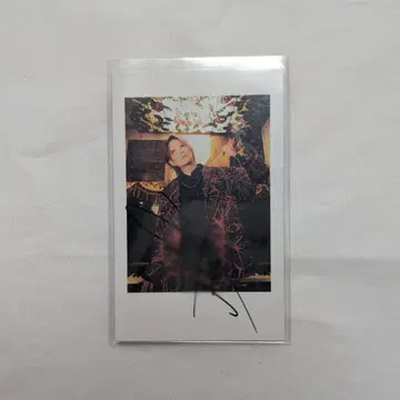 아라키 폴라로이드 컬렉션