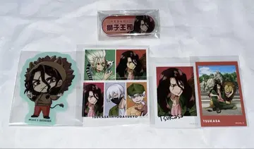 Dr. STONE 닥터 스톤 토부 동물공원 명찰 카드 사자왕 츠카사