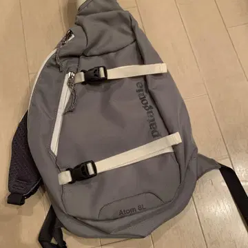patagonia Atom 8L 바디백 그레이