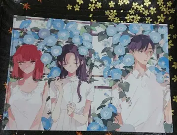 클리어 파일 1매 (이 사랑을 별에는 빌지 않아)