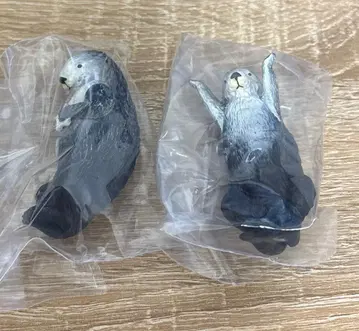 [ 2 ] 토바 수족관 Puka Puka 라코 메이와 키라