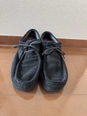CLARKS WALABEE GORE-TEX EU47 31.0cm 블랙