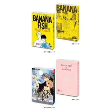 콩 가샤 도서 [ 플라워 코믹스 ] BANANA FISH 19
