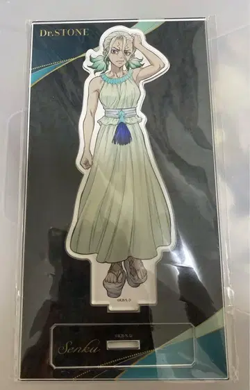 dr.stone 도쿠스톤 이시가미 치쿠루 아크릴 스탠드 뷰티 플랜