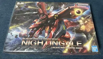 RE/100 1/100 나이팅게일