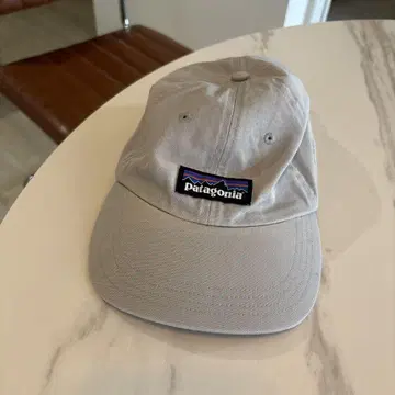 Patagonia 그레이 캡 파타고니아 아웃도어