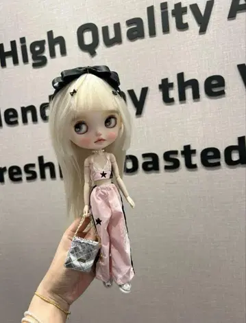 브라이스 아이시돌 의류 2세트