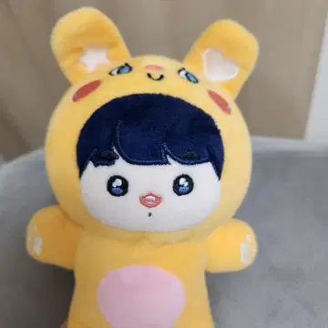 정국 20cm 봉제 인형