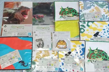 제일복권 파충류 & 양서류 타월 컬렉션 클리어 파일 & 스티커 러버