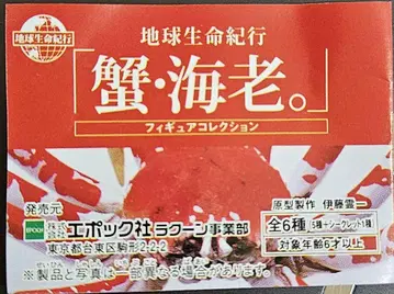 게와 새우 캡슐 토이 피규어 전6종
