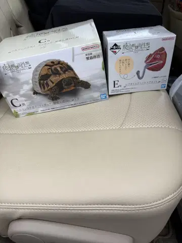 제일복권 파충류 및 양서류 C상 헤르만 리쿠가메 E상 레푸타일즈 헤드