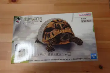 제일복권 파충류&양서류 vol.2 C상 헤르만 육지거북 방 안 산책