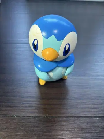 팽도리 할로팽