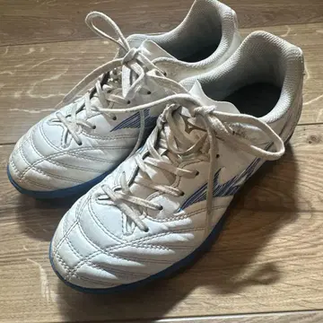 Mizuno 모나르시다 Neo 축구화 화이트/블루