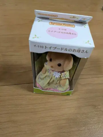 토이 푸들 엄마 실바니아