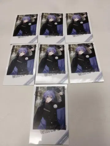 네오폴테 화이트데이 폴라로이드풍 카드 시라유키 레이드 7 세트