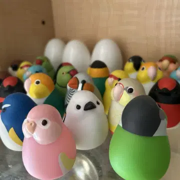 동글동글 귀여운 새 라이트 세트