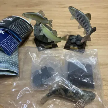 네이처 테크니컬러 일본의 청류 산천어, 은어, 가자미