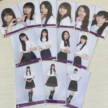 노기사카 브로마이드 Same numbers 봉입 브로마이드 묶음 판매