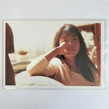 ZARD MUSEUM 도리이자카 라보 롯폰기 엽서 18 사카이 이즈미